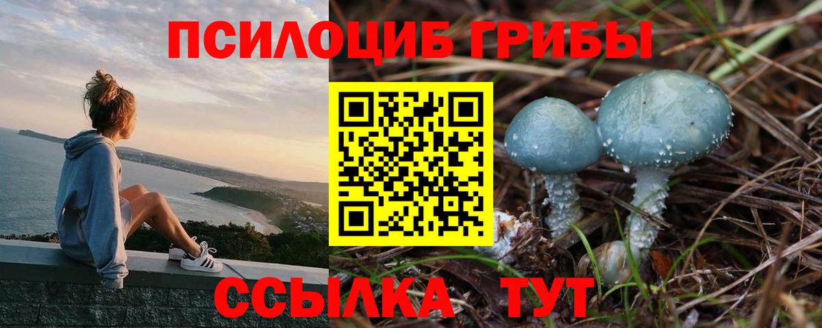 Галлюциногенные грибы Cubensis Дубна